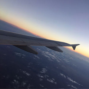 Meet your Posher, Bella